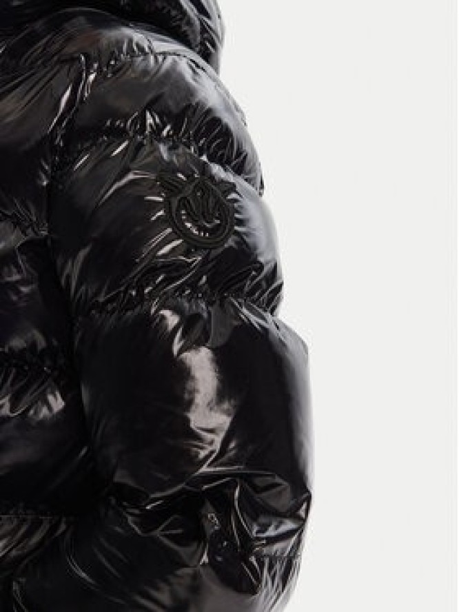 PINKO Kurtka zimowa Eleodoro 101597 A2P7 Czarny Regular Fit