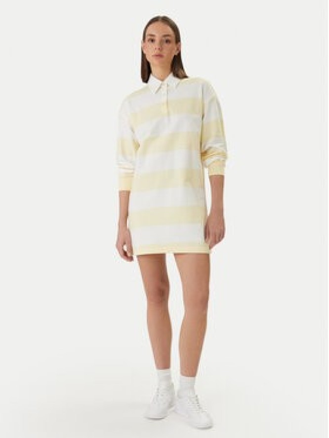 Calvin Klein Jeans Sukienka codzienna LV047F214G Kolorowy Loose Fit