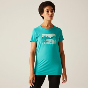 Koszulka turystyczna damska Fingal Stretch