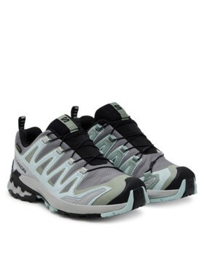 Salomon Trekkingi Xa Pro 3D V9 Gore-Tex L47823100 Szary