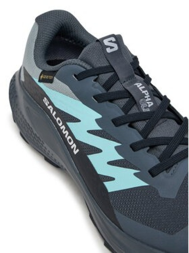 Salomon Buty do biegania Alphaglide Gore-Tex L47802500 Szary