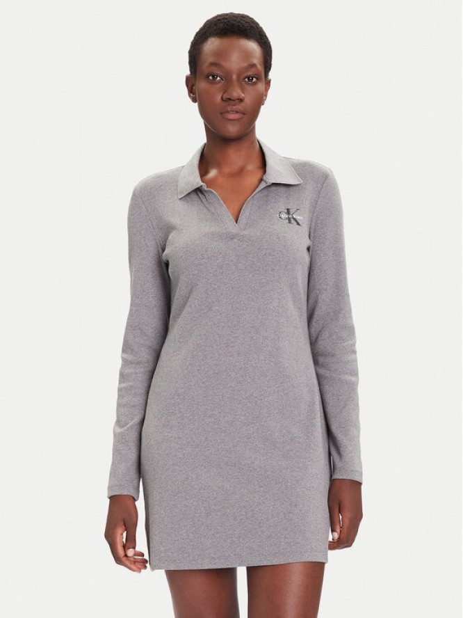 Calvin Klein Jeans Sukienka codzienna Monologo LV047D214G Szary Slim Fit