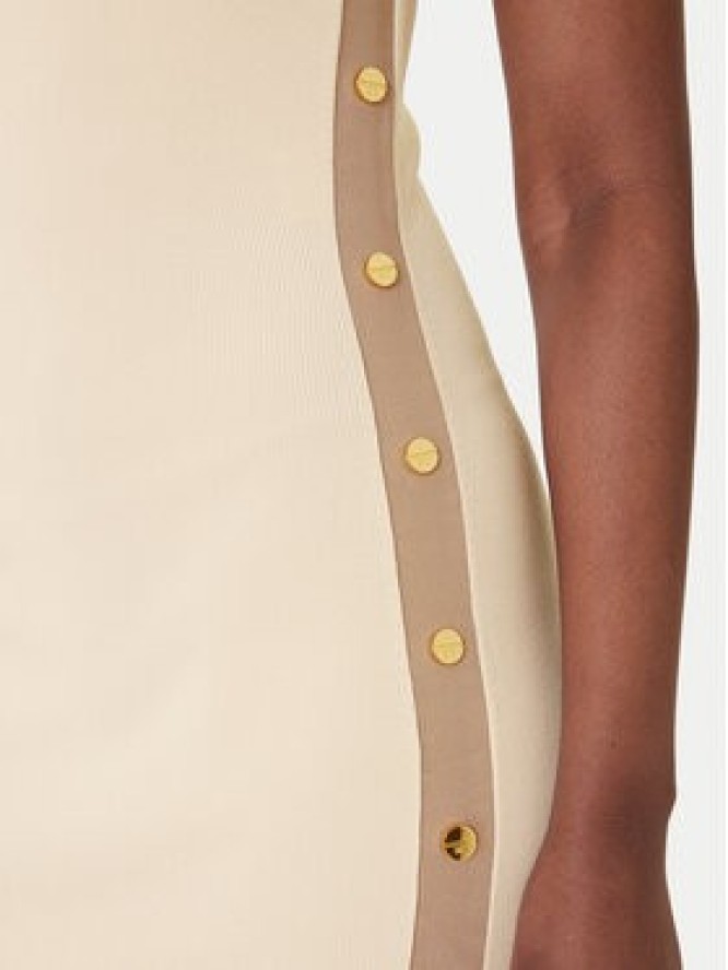 Elisabetta Franchi Sukienka dzianinowa AM-03S-61E2 Beżowy Regular Fit