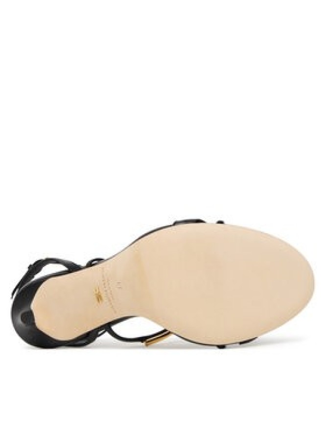 Elisabetta Franchi Sandały SA-14C-57E2-V620 Czarny