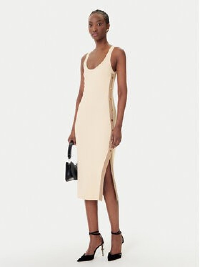 Elisabetta Franchi Sukienka dzianinowa AM-03S-61E2 Beżowy Regular Fit