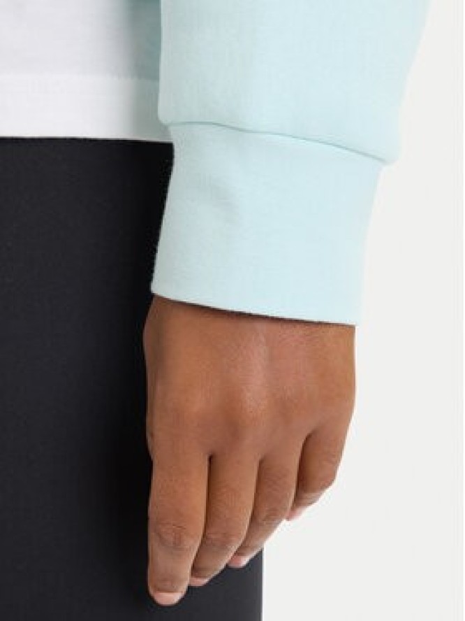 adidas Bluza Essentials Small Logo Feelcozy JV7300 Zielony Loose Fit