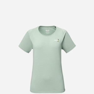 Koszulka damska trekkingowa MILLET Cimaï Natural Ts Ss W