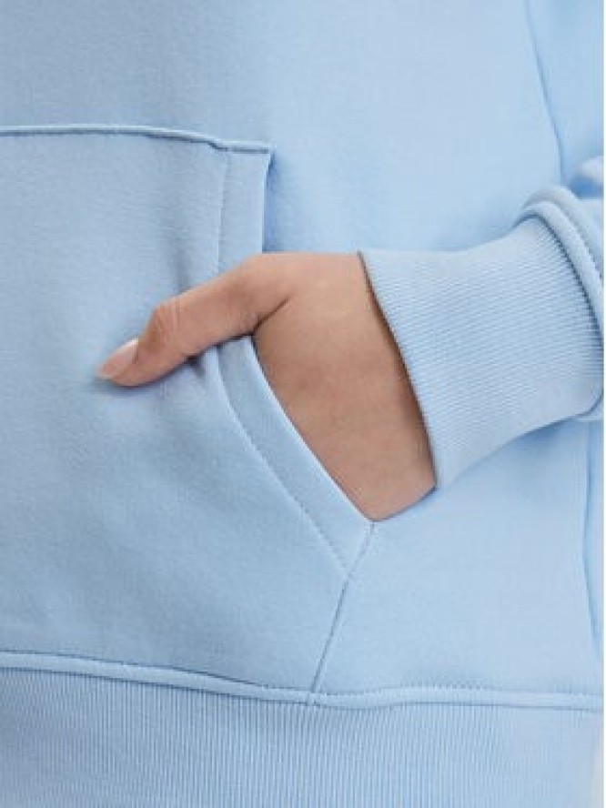 Tommy Jeans Bluza DW0DW17324 Niebieski Regular Fit