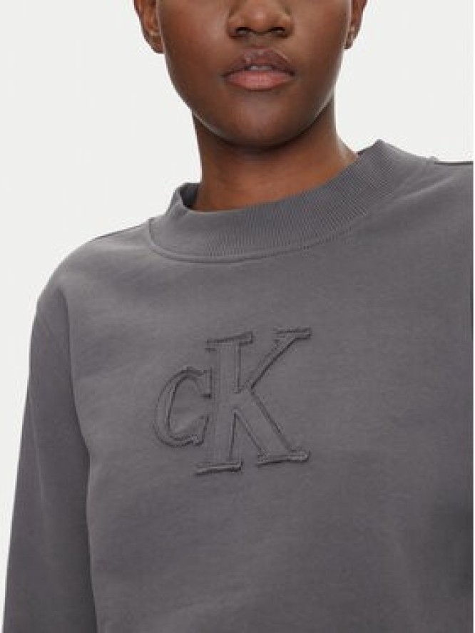 Calvin Klein Jeans Bluza J20J225363 Szary Regular Fit