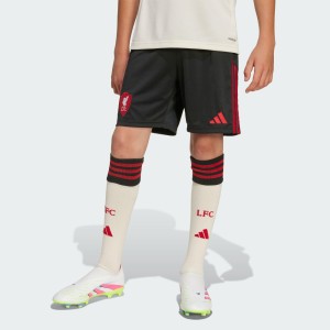 Szorty wyjazdowe Liverpool FC 25/26