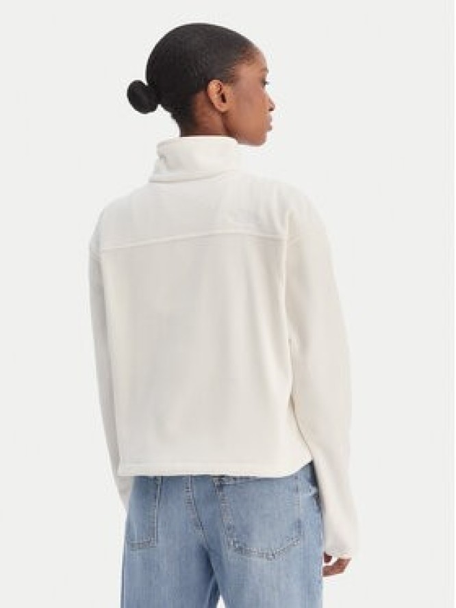 The North Face Polar Glacier NF0A8D2C Beżowy Regular Fit