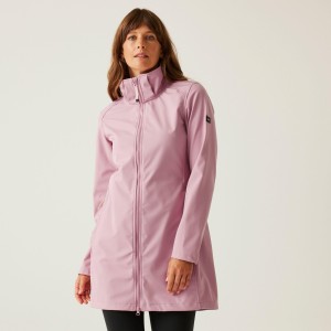 Carisbooke damski softshell