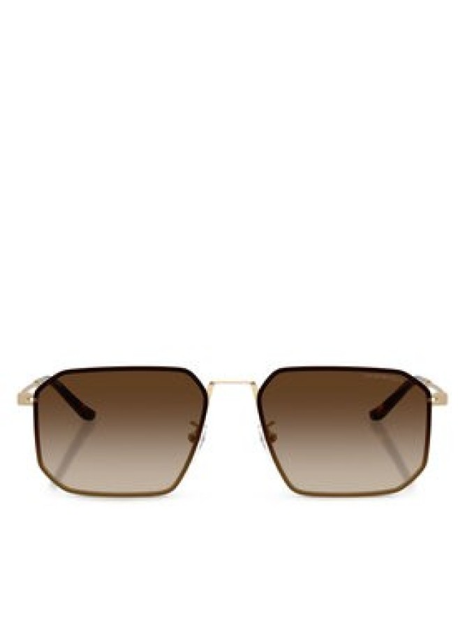 Emporio Armani Okulary przeciwsłoneczne 0EA2165D 300213 Brązowy