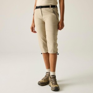 Shorty damski Regatta Xert Stretch