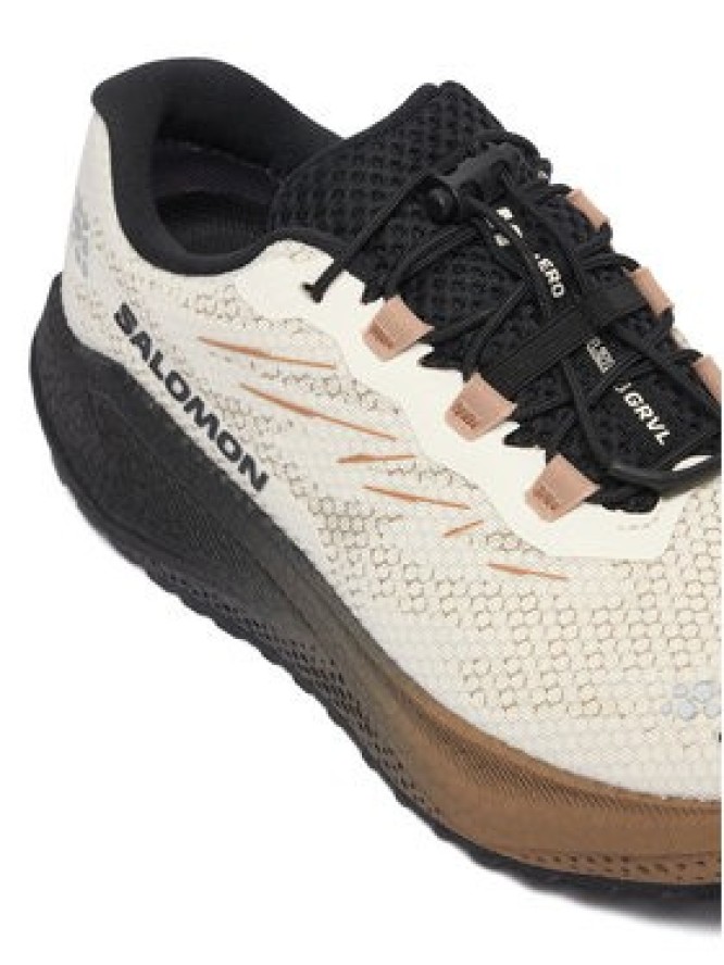 Salomon Buty do biegania Aero Blaze 4 gtx GORE-TEX L45403900 Beżowy