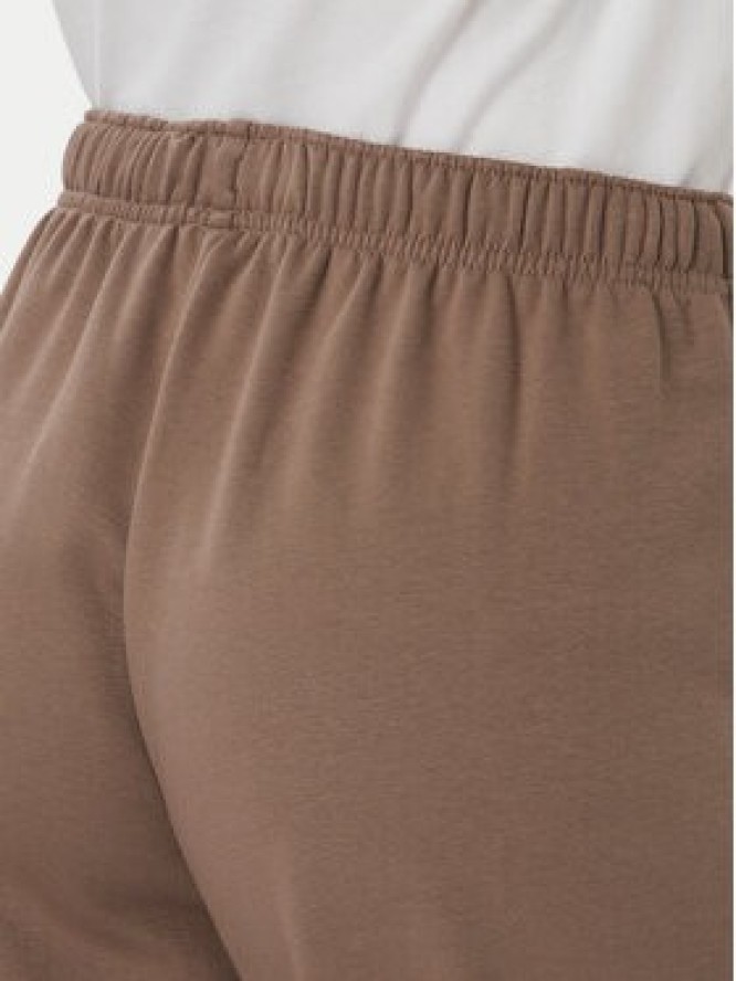 The North Face Spodnie dresowe Evolution Simple Dome NF0A8CWV Brązowy jasny Regular Fit