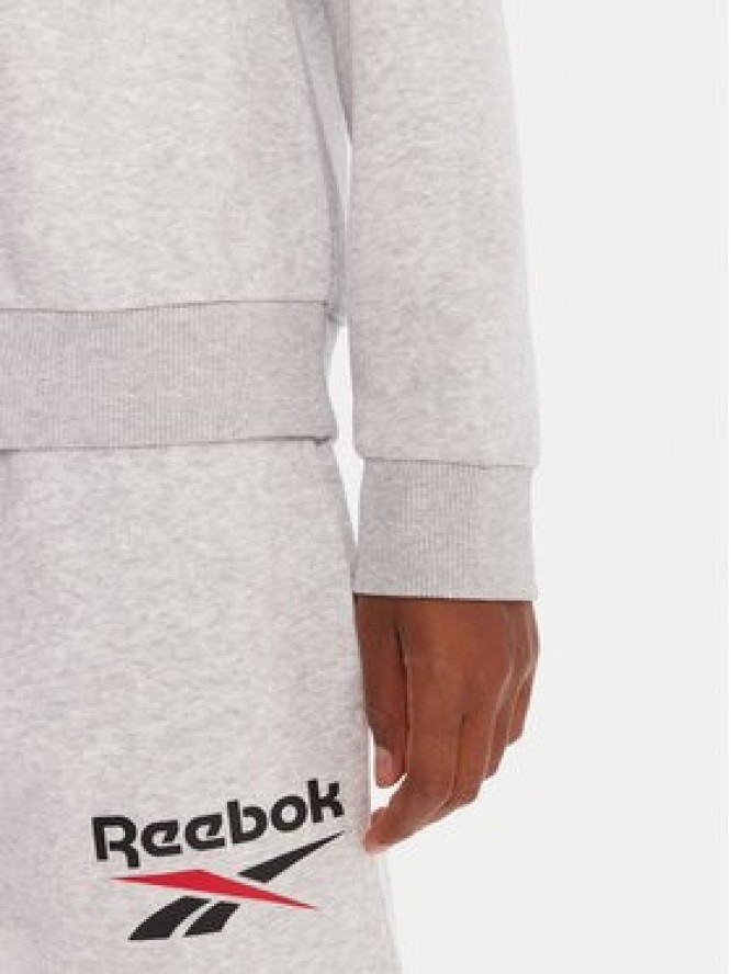 Reebok Bluza RK25169CCW Szary Regular Fit