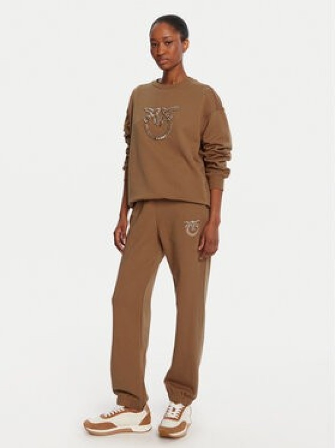 PINKO Spodnie dresowe Plumcake 104790 A2RO Brązowy Regular Fit