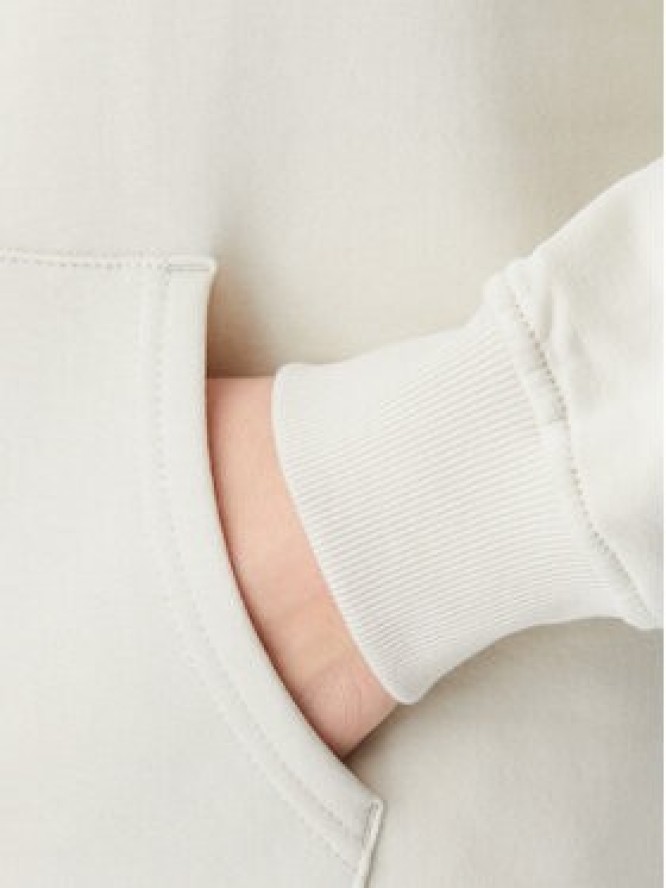 Tommy Jeans Bluza Tonal Linear DW0DW20304 Beżowy Regular Fit