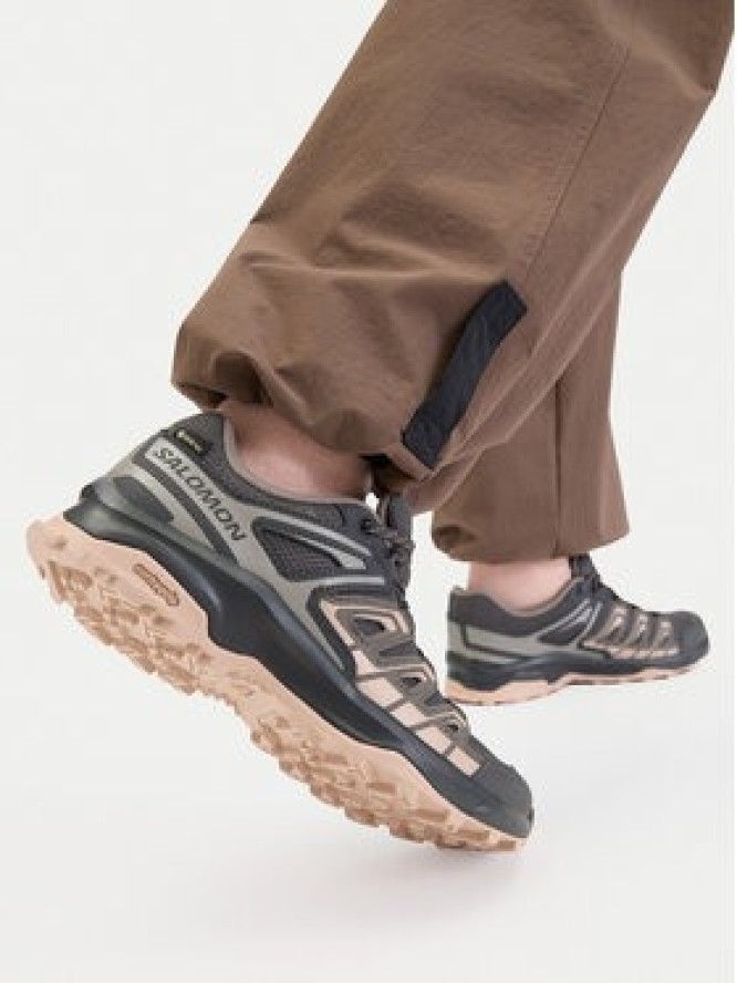 Salomon Trekkingi Extegra Gtx Gore-Tex L49135500 Szary