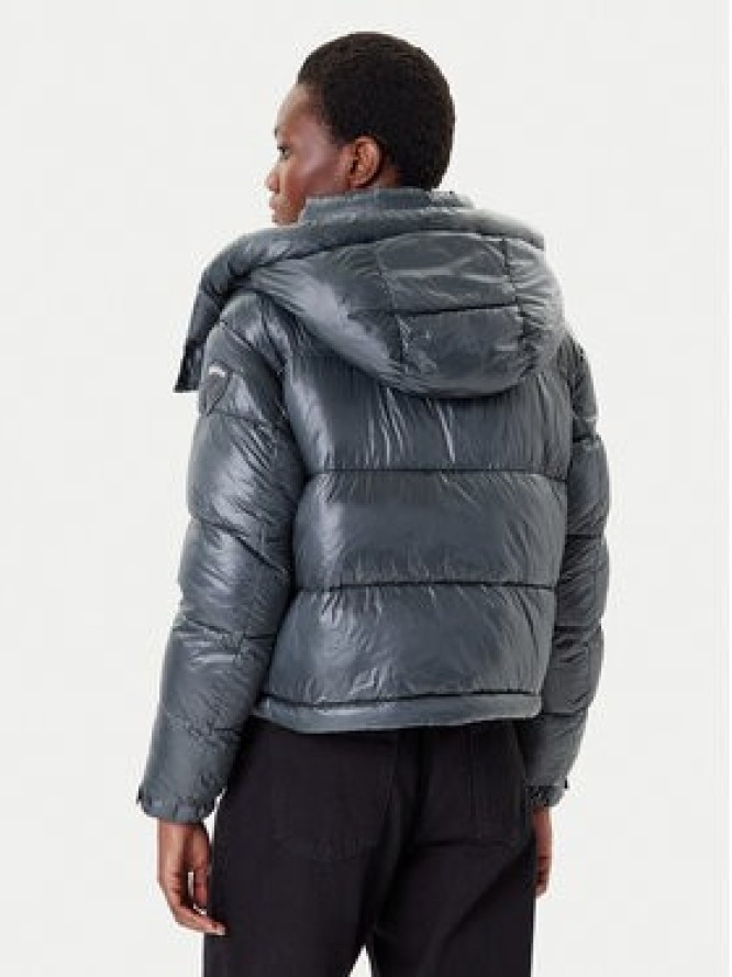 Blauer Kurtka zimowa 25WBLDC02170 Szary Regular Fit