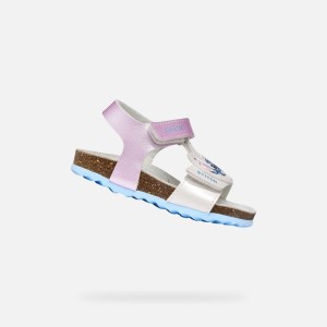 Sandały GEOX B SANDAL CHALKI Wielokolorowy