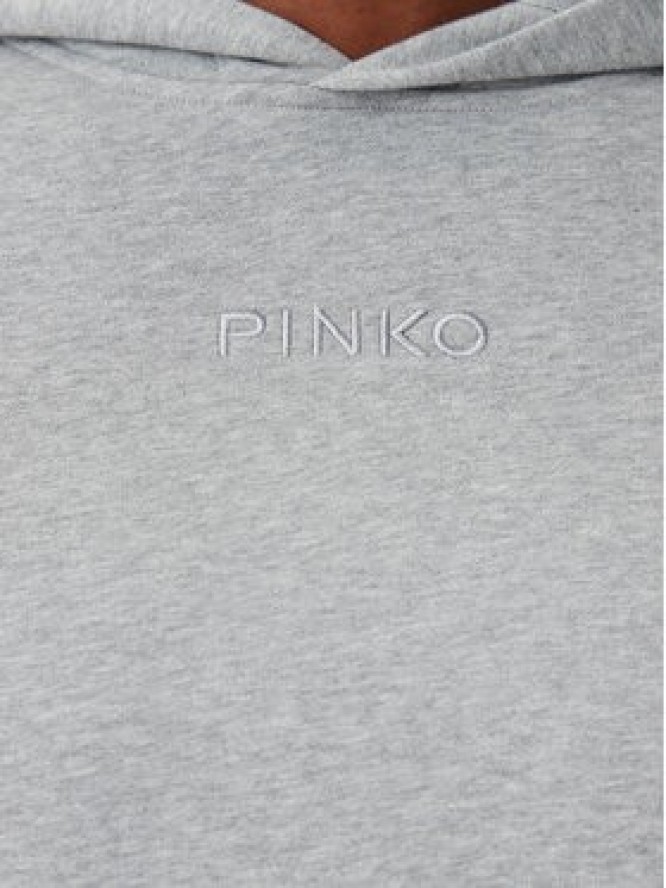 PINKO Bluza 104623 A2F9 I42 Szary Regular Fit