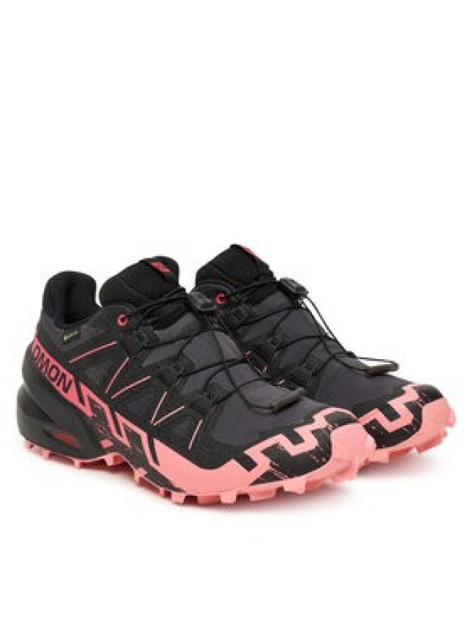 Salomon Buty do biegania Speedcross 6 Gore-Tex L47880400 Szary