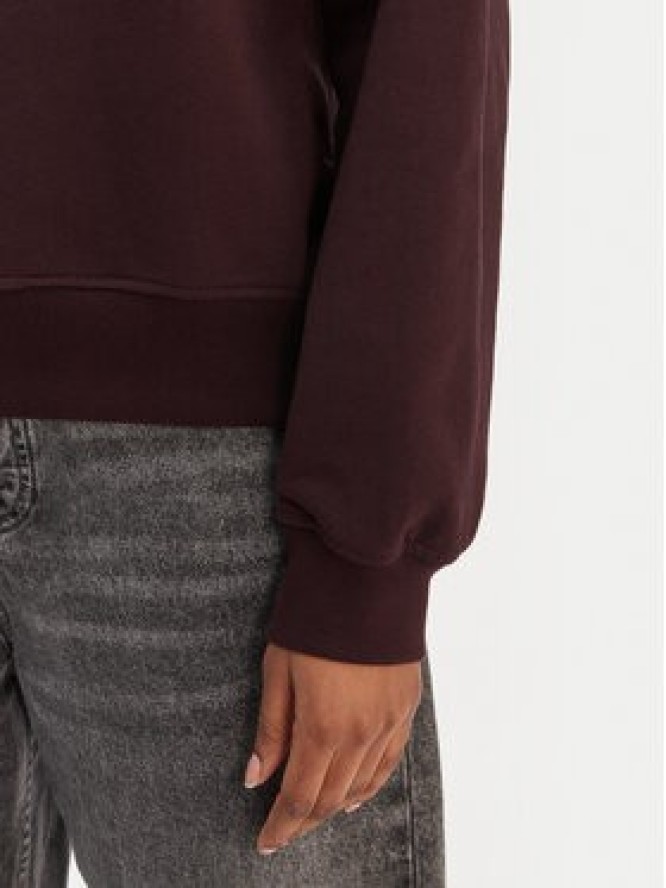 Calvin Klein Jeans Bluza Monologo LV047B234G Brązowy Regular Fit