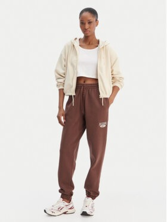 Reebok Spodnie dresowe Cl Ae Pant 100202799 Brązowy Regular Fit