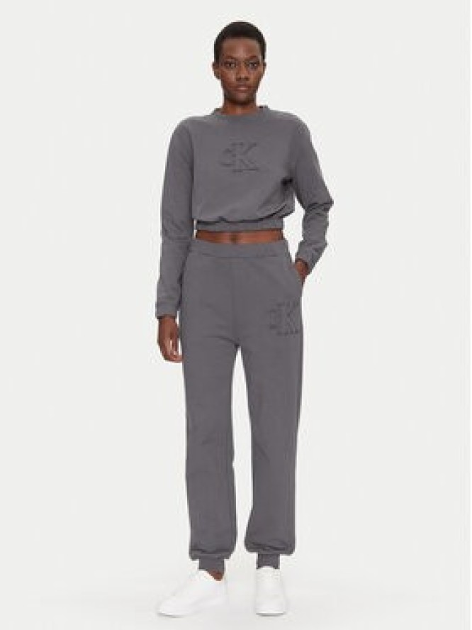 Calvin Klein Jeans Bluza J20J225363 Szary Regular Fit