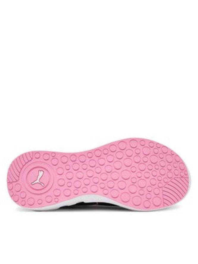Puma Buty do biegania Softride Carson 310154 04 Czarny