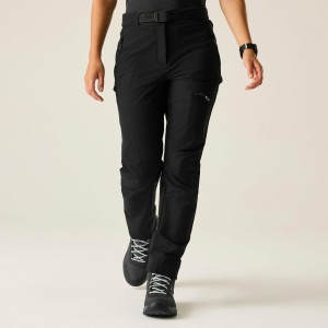 Damskie spodnie trekkingowe Melodic Pro II
