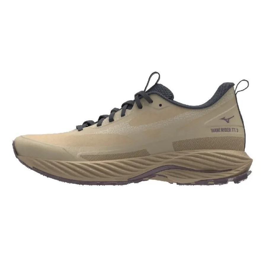 Damskie buty do biegania Mizuno Wave Rider Gtx TT 3