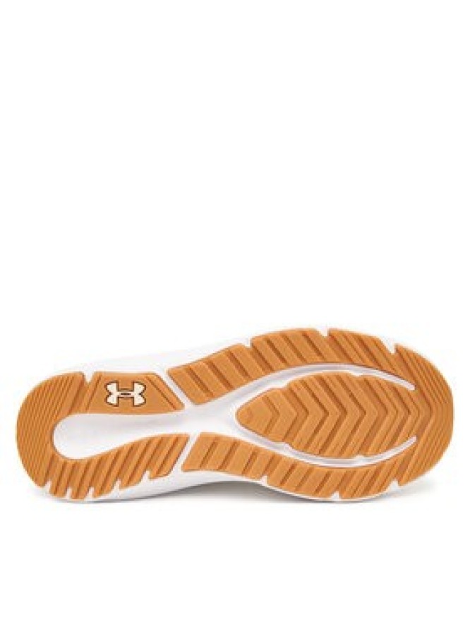 Under Armour Buty do biegania UA W Charged Pursuit 4 BL 6000598 Szary