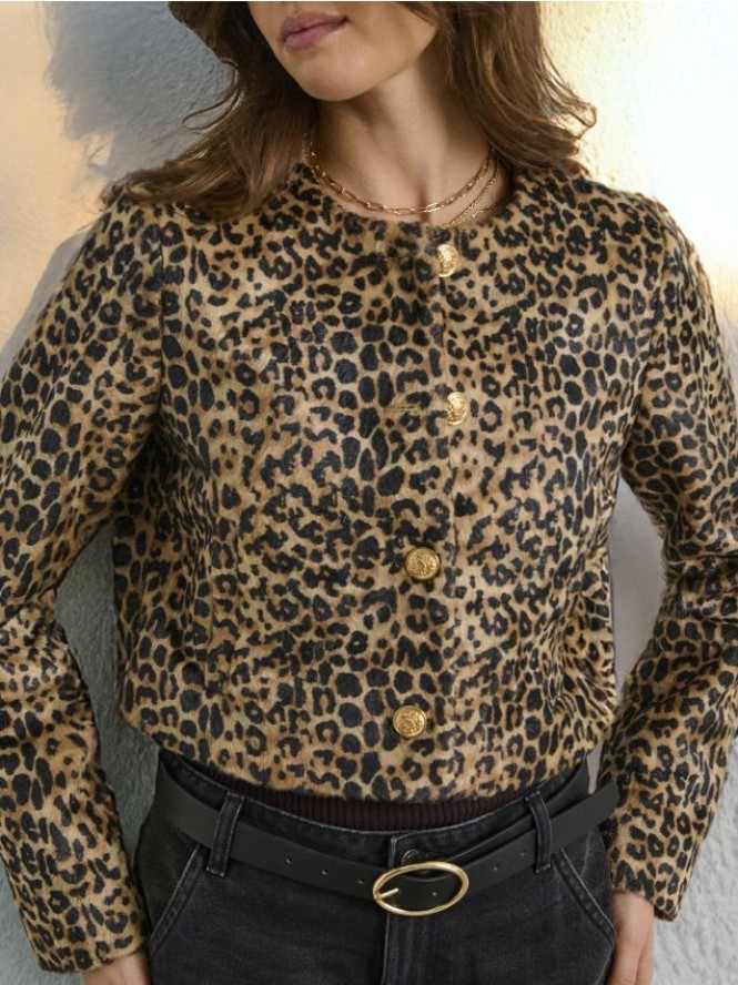 Żakiet - wielobarwny