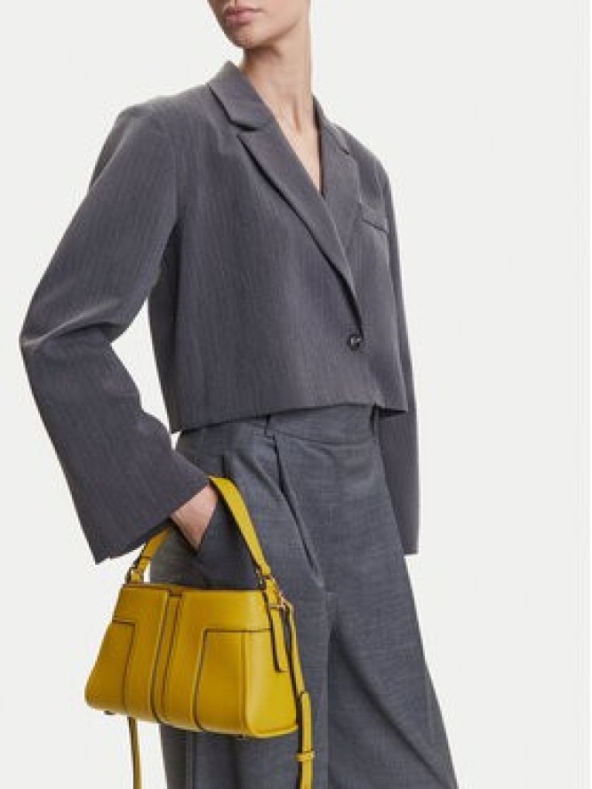 Elisabetta Franchi Torebka BS-06A-51E2-V400 Żółty