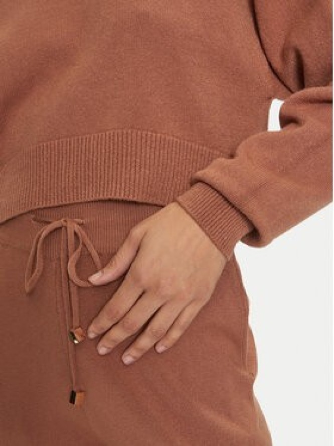 Fracomina Sweter FJ24WT7009K42001 Brązowy Regular Fit