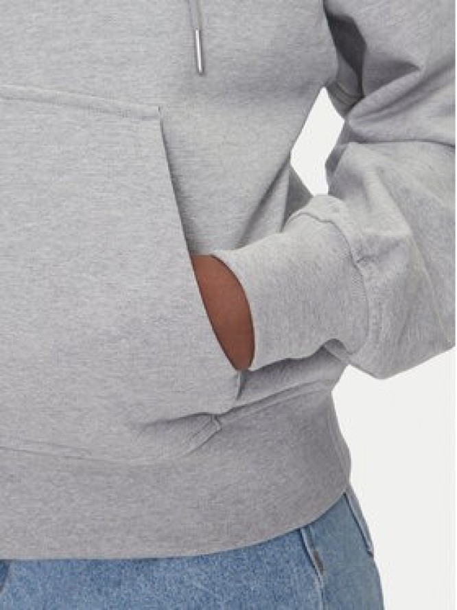 Calvin Klein Jeans Bluza Monologo LV047B270G Szary Regular Fit