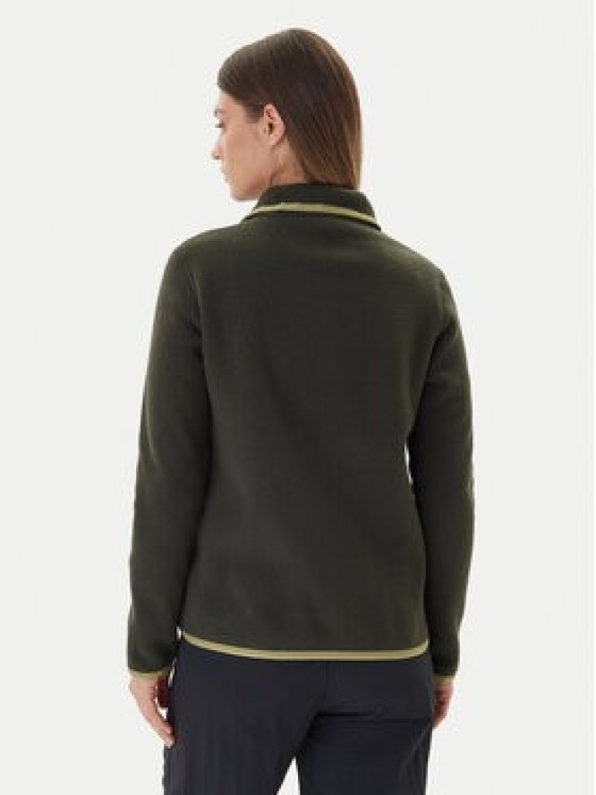 Cotopaxi Polar Teca Fleece Full F21471W174 Zielony Regular Fit