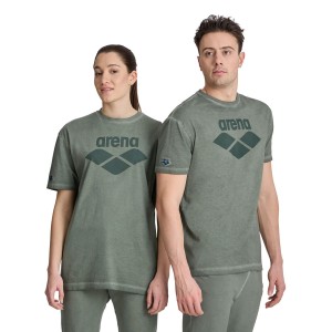 Koszulka sportowa Arena Icons T-Shirt