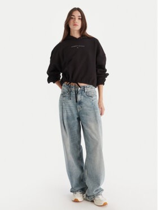 Tommy Jeans Bluza Bling Linear DW0DW21607 Czarny Regular Fit