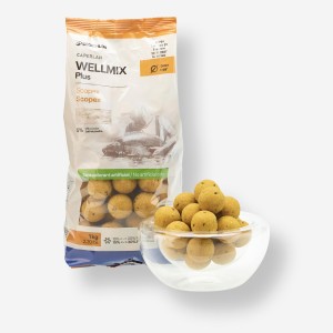 Kulki proteinowe Caperlan Wellmix Plus 25 mm 1 kg scopex