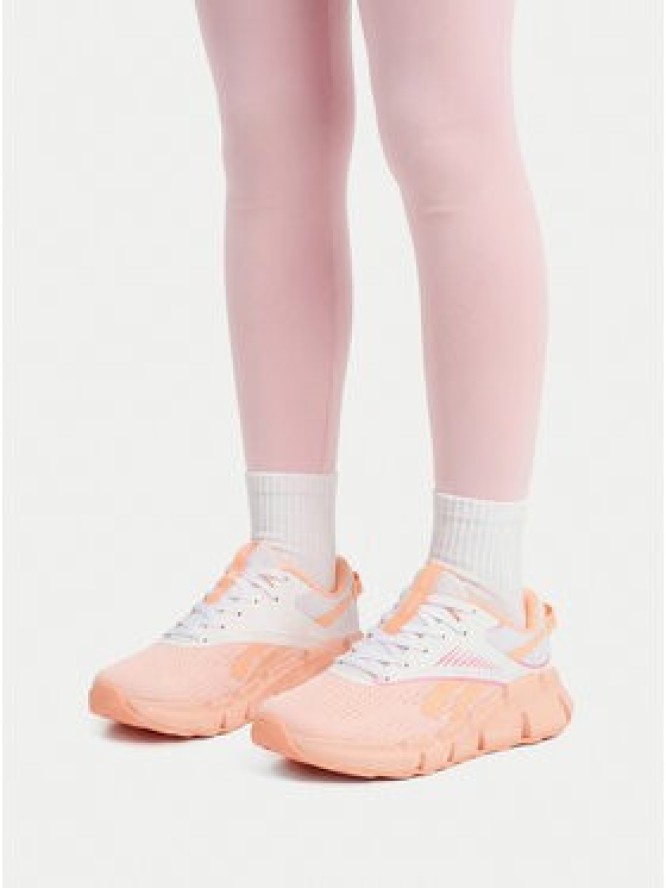 Reebok Buty do biegania EO-ZIG DYNAMICA 6 100246200 Różowy