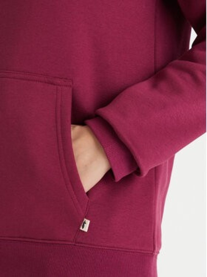 Cotopaxi Bluza Llama Patch Pullover Hoodie F24474W1160 Fioletowy Regular Fit