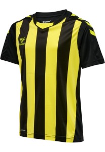 Koszulka sportowa treningowa Hummel Core XK Stripped Jersey