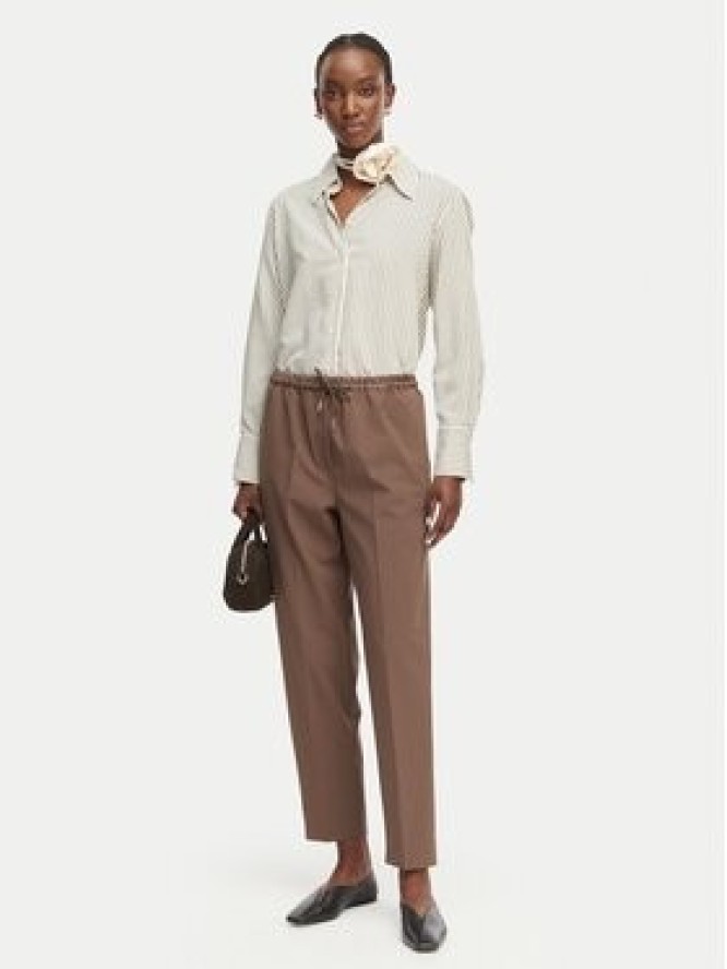 Marella Spodnie materiałowe Teso 2613131075 Brązowy Regular Fit