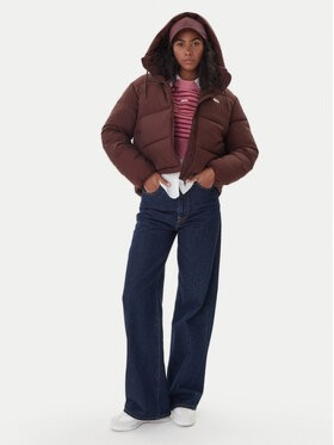 Tommy Jeans Kurtka zimowa DW0DW21625 Brązowy Regular Fit