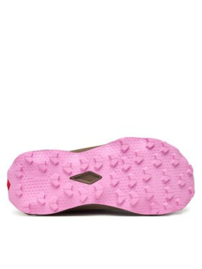 Salomon Buty do biegania Ultra Flow 2 Gore-Tex L47884400 Czarny