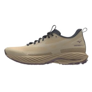 Damskie buty do biegania Mizuno Wave Rider Gtx TT 3